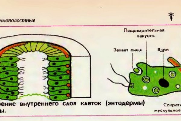 Кракен зеркало krakenat2krnkrnk com