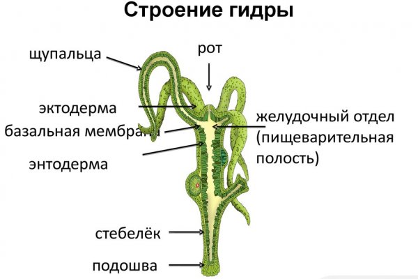 Кракен торговая площадка даркнет