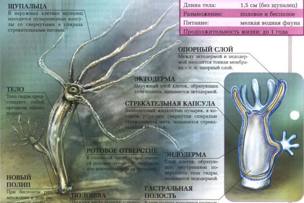 Кракен сайт регистрация